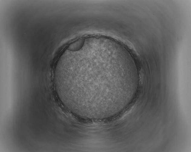 X0000112031494200908171440