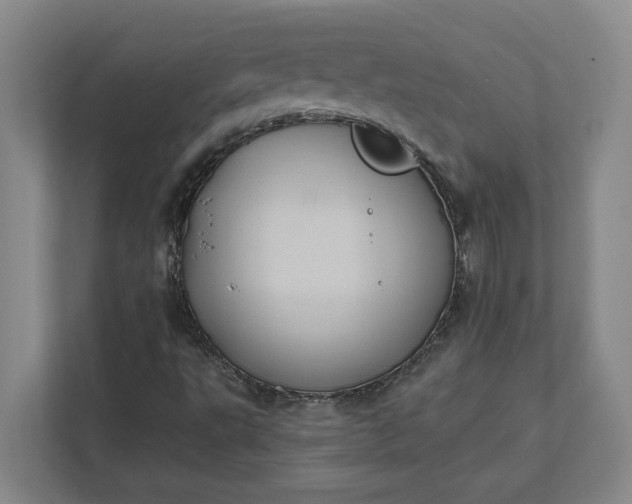 X0000112031495200908171440