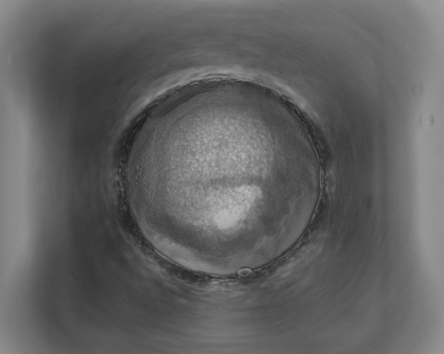 X0000112031496200908171440