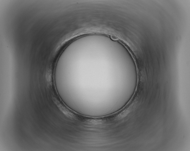 X0000112031499200908171440