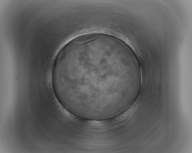 X0000112031500200908171440