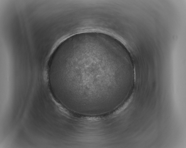 X0000112031501200908171440