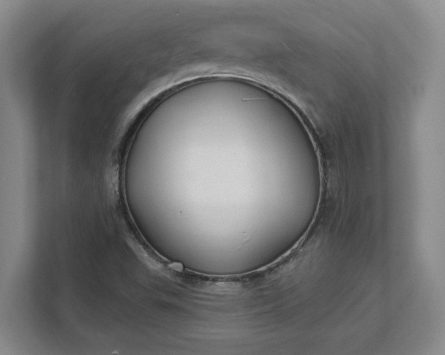 X0000112031503200908171440