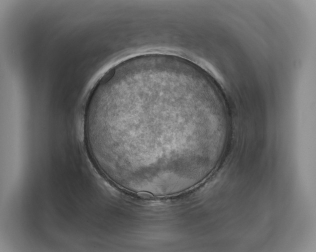 X0000112031504200908171440