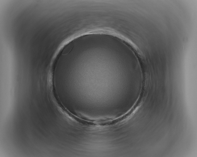 X0000112031506200908171440