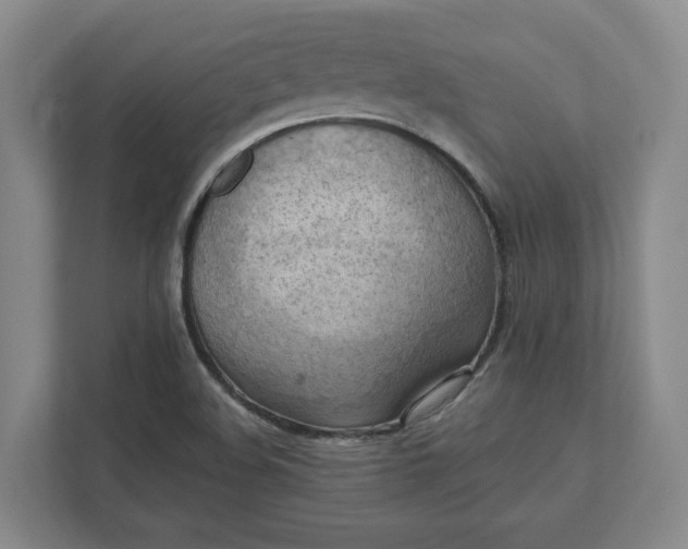 X0000112031508200908171440