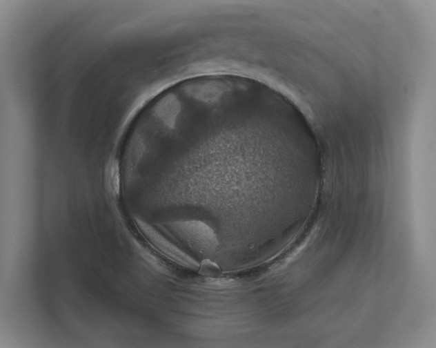X0000112031509200908171440