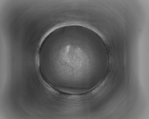 X0000112031510200908171440