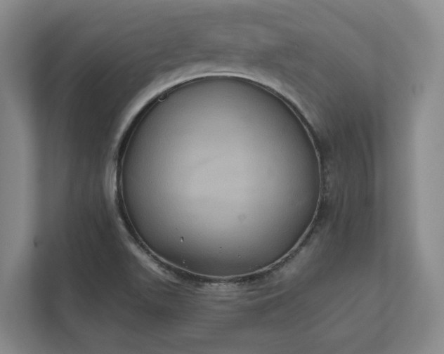 X0000112031511200908171440