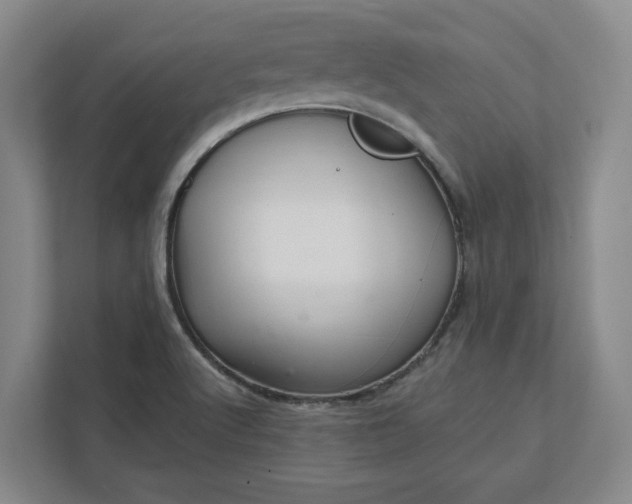 X0000112031512200908171440