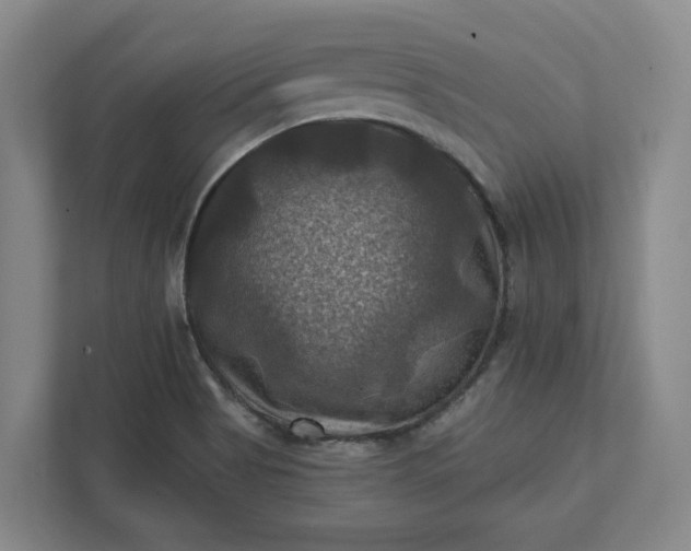 X0000112031513200908171440