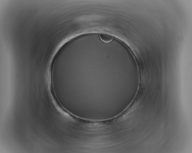 X0000112031515200908171440
