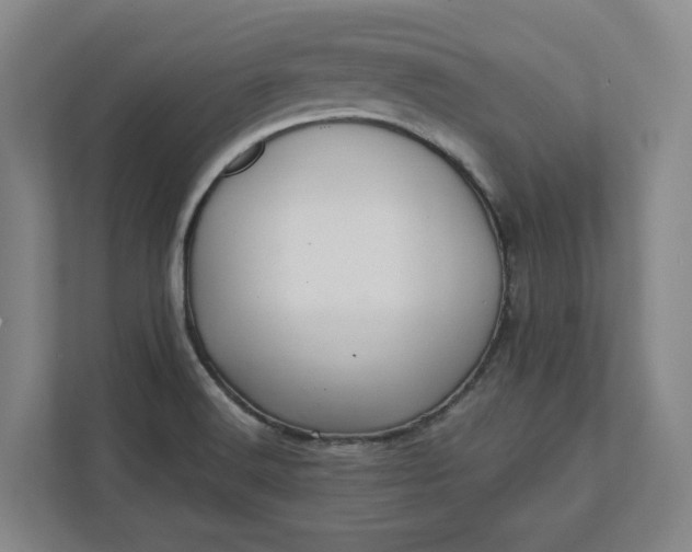 X0000112031516200908171440