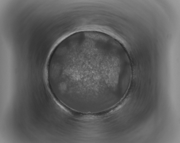X0000112031517200908171440