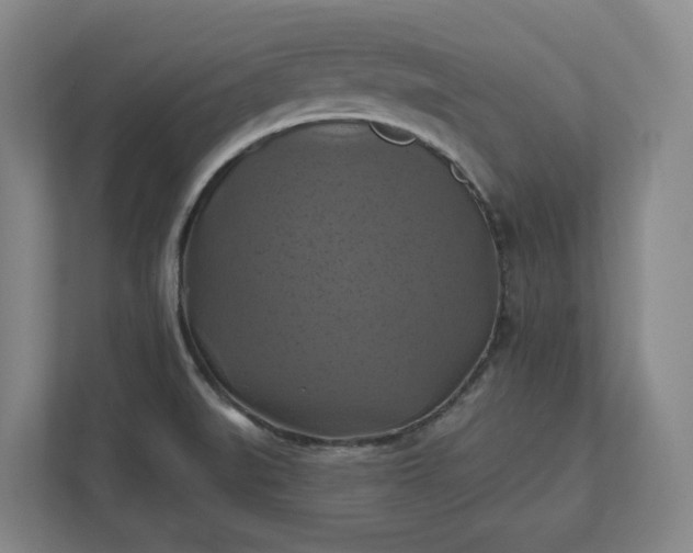 X0000112031519200908171440