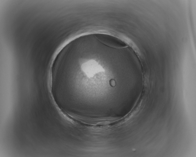 X0000112031520200908171440