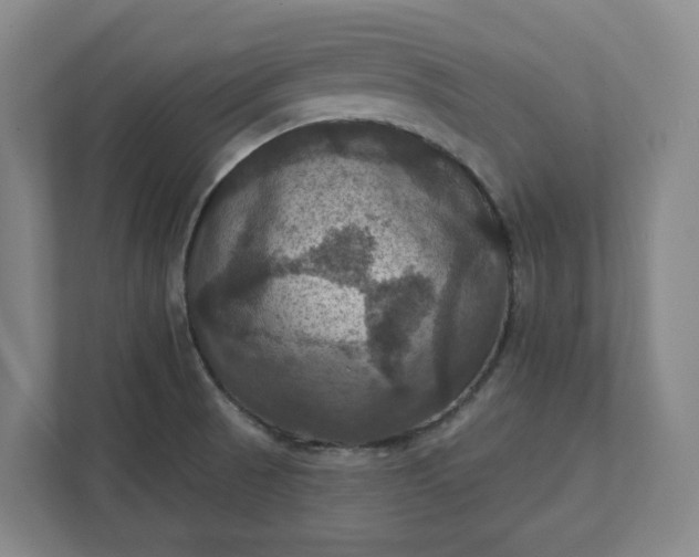 X0000112031521200908171440