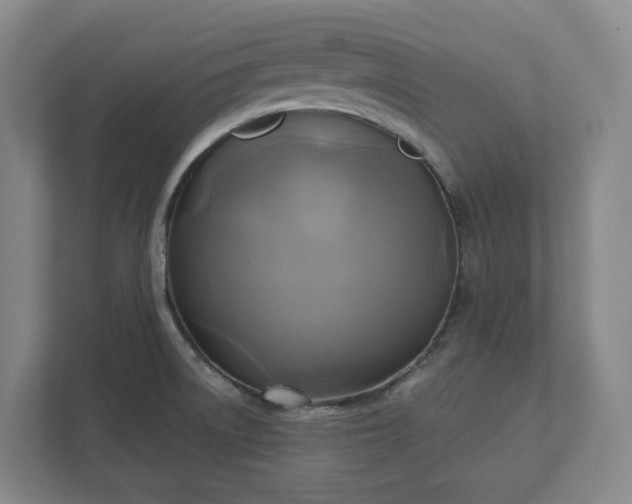 X0000112031522200908171440