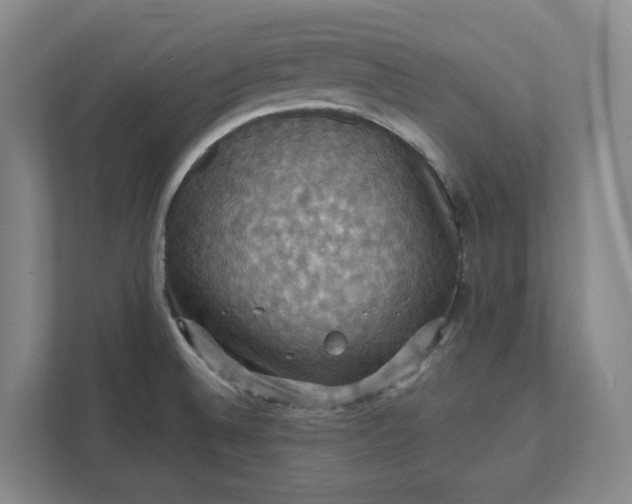 X0000112031524200908171440