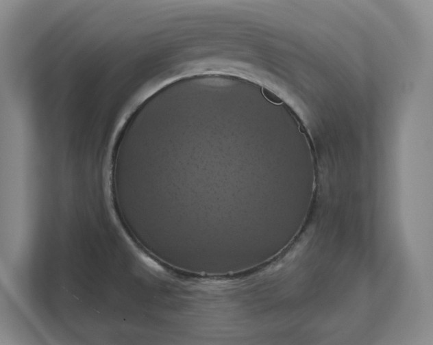 X0000112031525200908171440