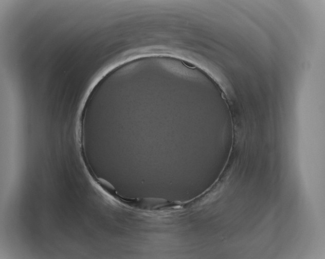 X0000112031527200908171440