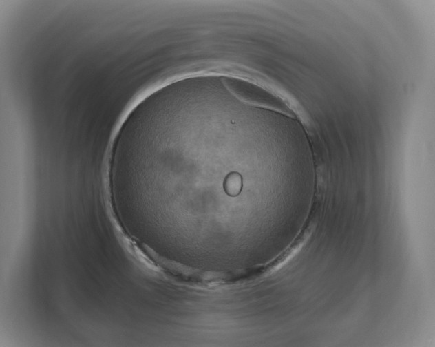 X0000112031530200908171440