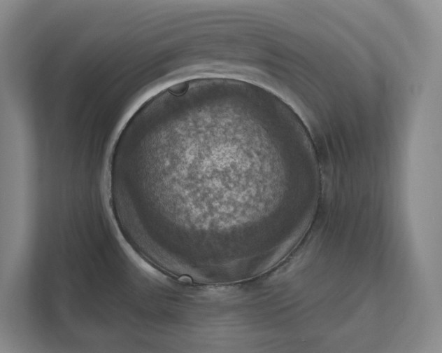 X0000112031531200908171440