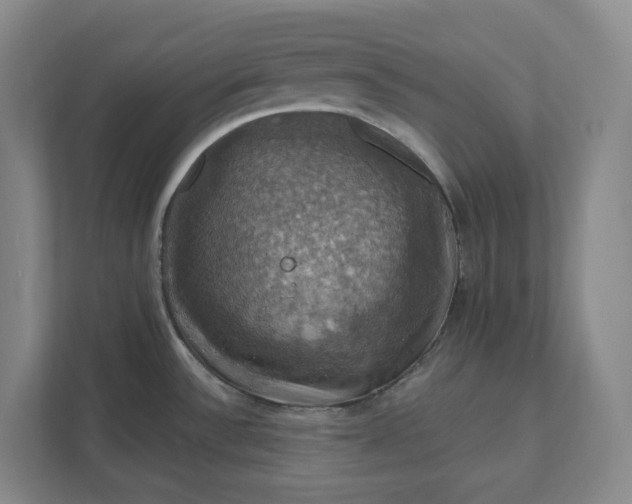 X0000112031532200908171440