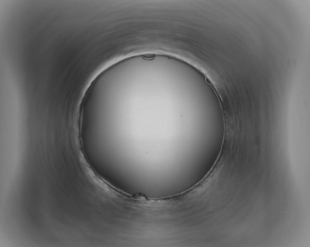 X0000112031534200908171440