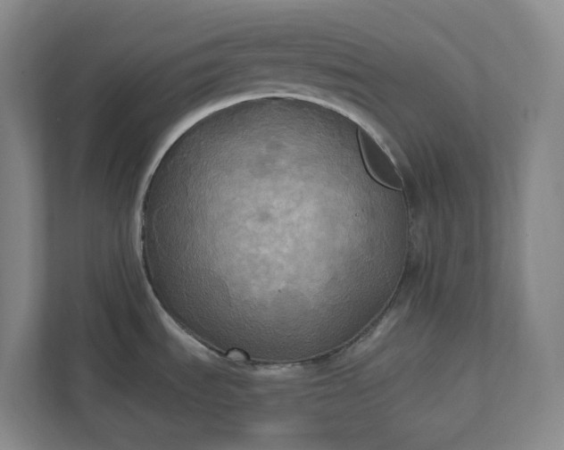 X0000112031535200908171440