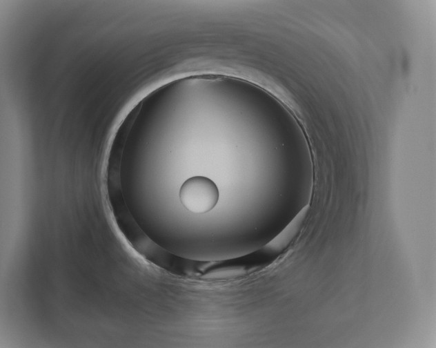 X0000112031536200908171440