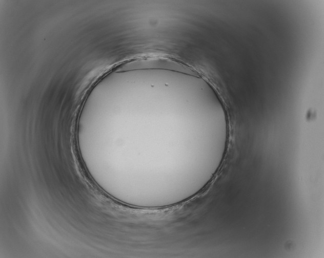 X0000112030001200908241550