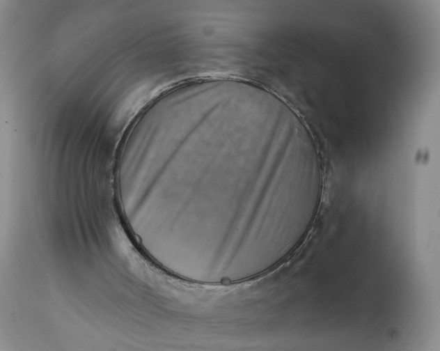 X0000112030002200908241550
