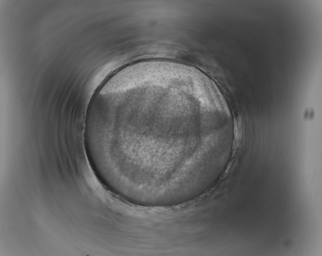 X0000112030003200908241550