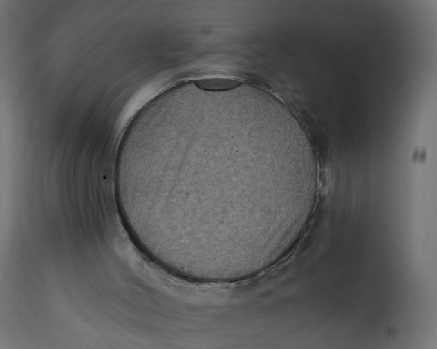 X0000112030004200908241549