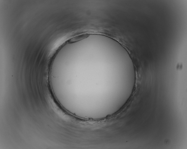 X0000112030005200908241549