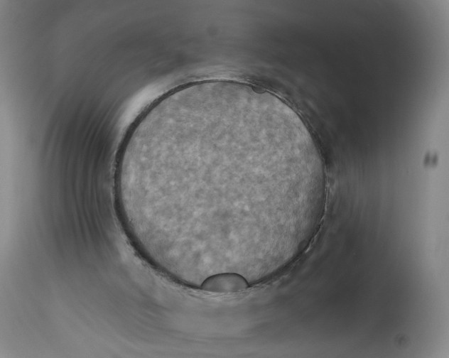 X0000112030006200908241549