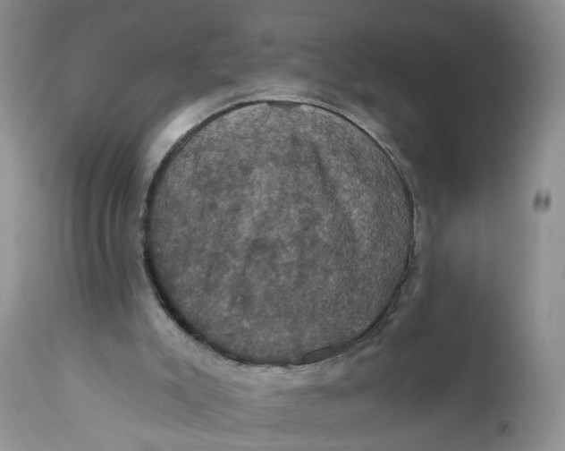 X0000112030007200908241549