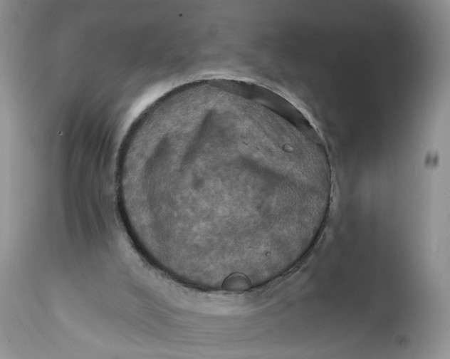 X0000112030008200908241549