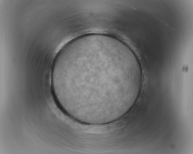 X0000112030011200908241549
