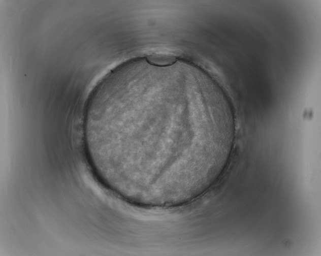 X0000112030012200908241549