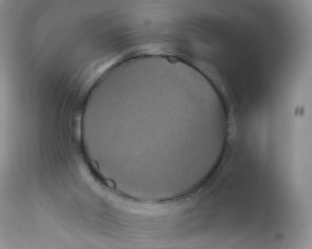 X0000112030014200908241549