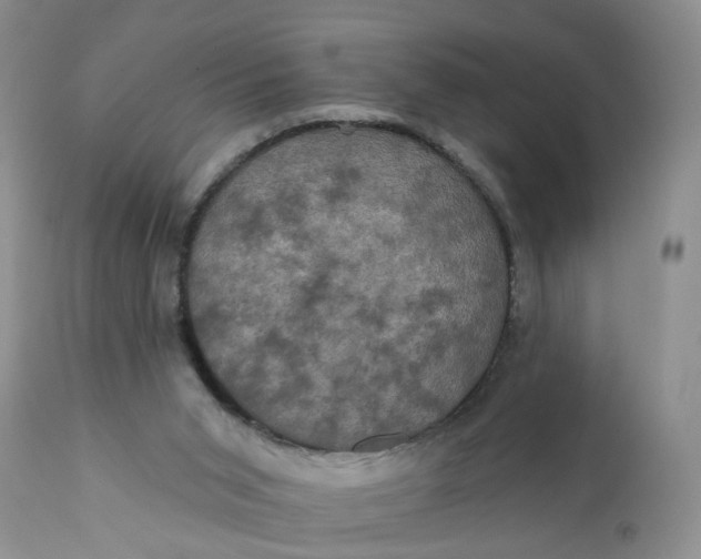 X0000112030015200908241549