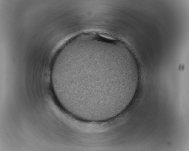 X0000112030016200908241549
