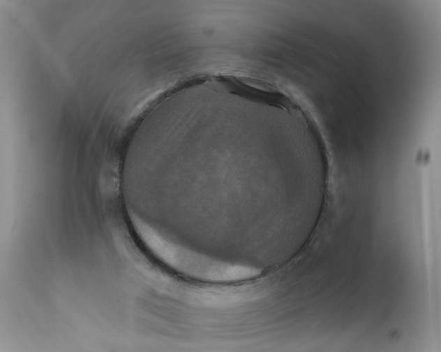 X0000112030017200908241549