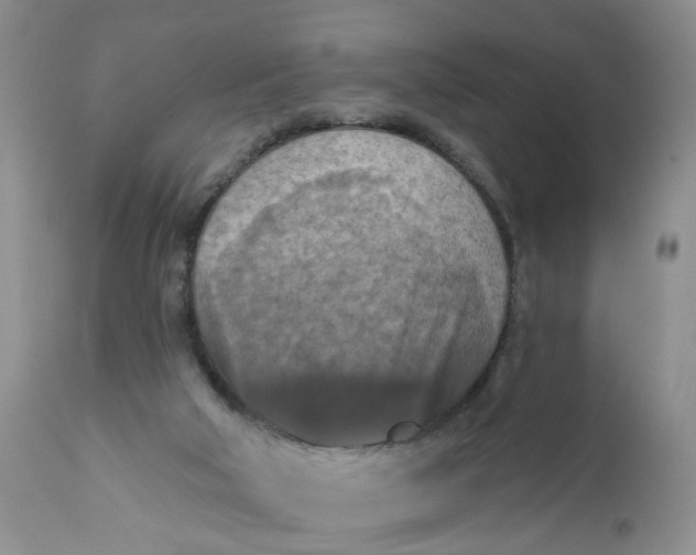X0000112030018200908241549