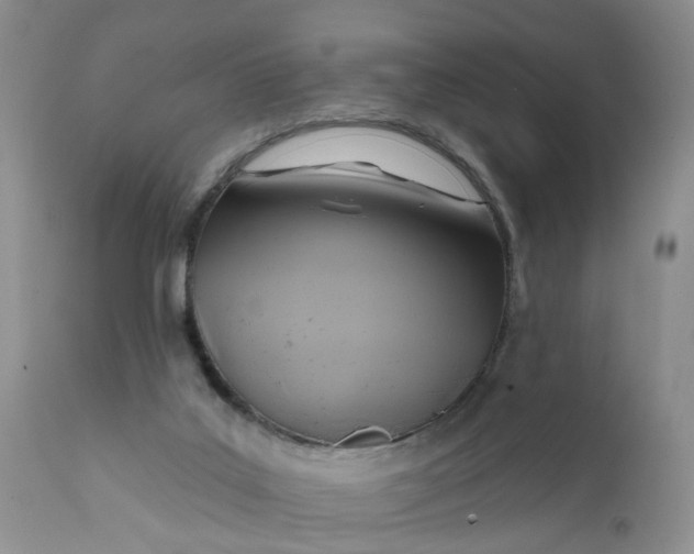 X0000112030019200908241549