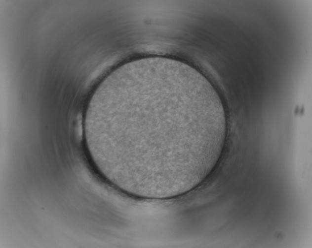 X0000112030020200908241549