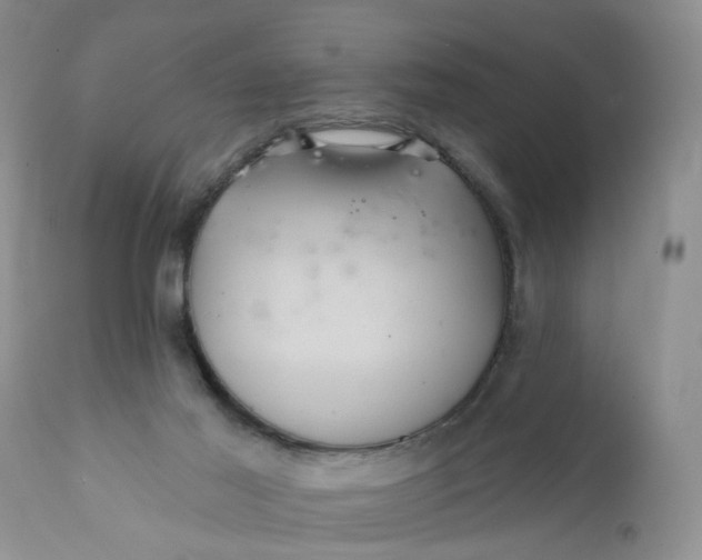 X0000112030021200908241549