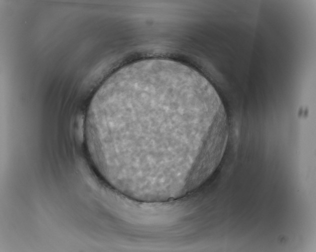 X0000112030022200908241549